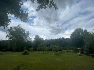 0ea3d8c5-fc7c-4356-a891-b3538de35155-1655371363