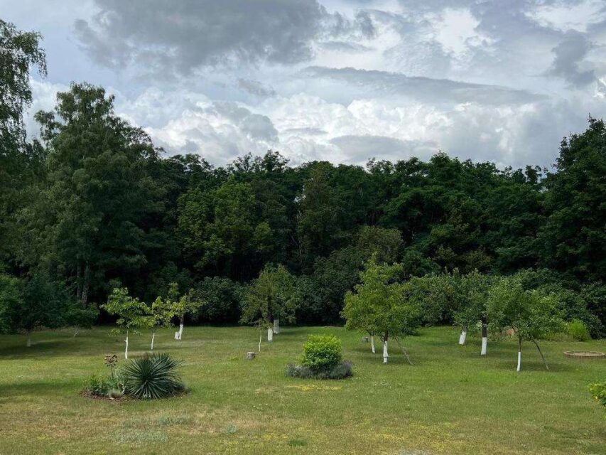 6e77f664-fa48-4b37-a6c7-f0c90c9da838-1655371355